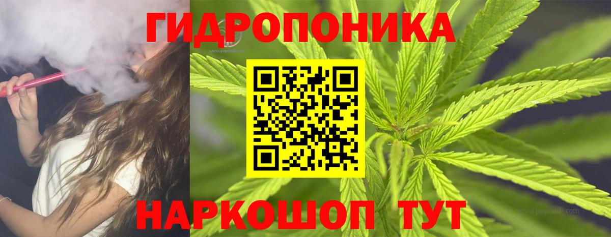Конопля сатива Воскресенск